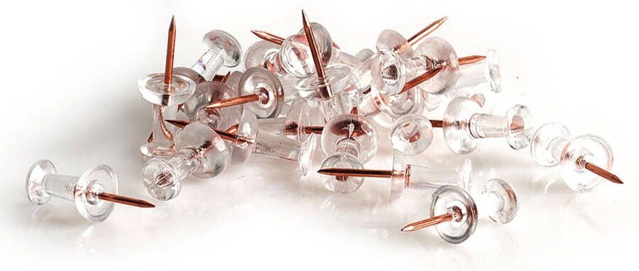 Zeller Present Doorzichtige punaises Tan Punaises standaard 25 stuks