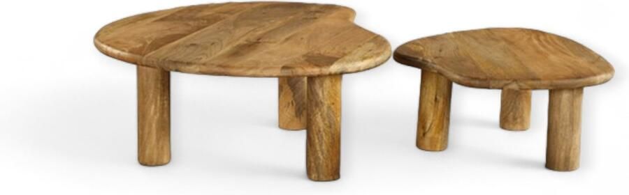Zita Home Organische salontafel set van 2 80 70cm Mango