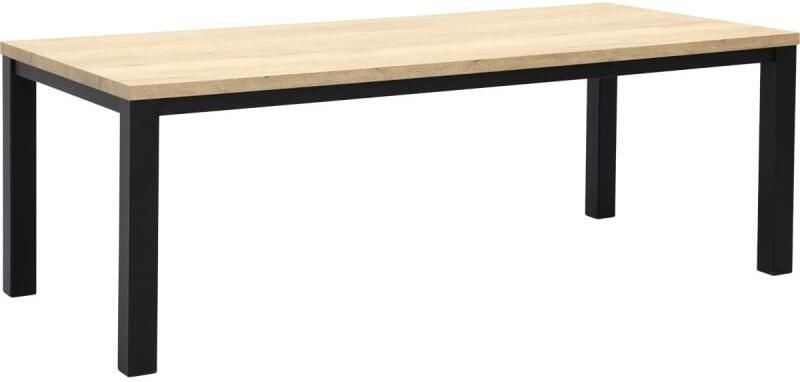 Budget Home Store Eettafel Everest 220x100cm