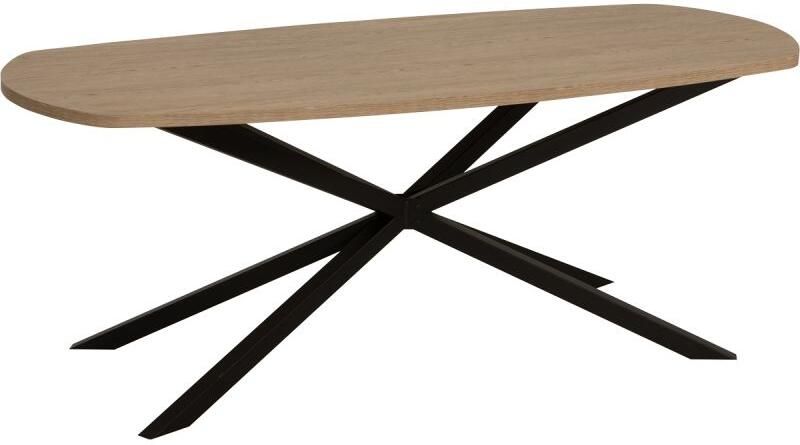 Budget Home Store Eettafel Manu deens ovaal 200cm