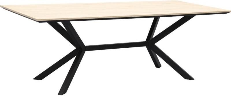 Budget Home Store Eettafel Stilo 240 x 100 cm