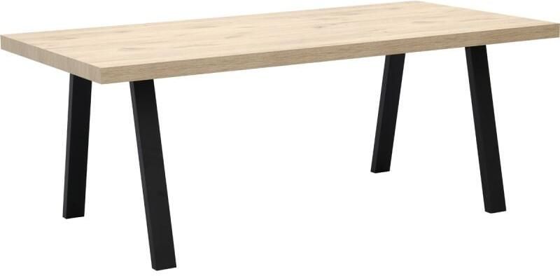 Budget Home Store Eettafel Timo 200 cm