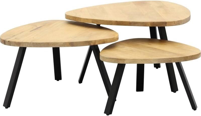 Budget Home Store Salontafel Aiden set van 3