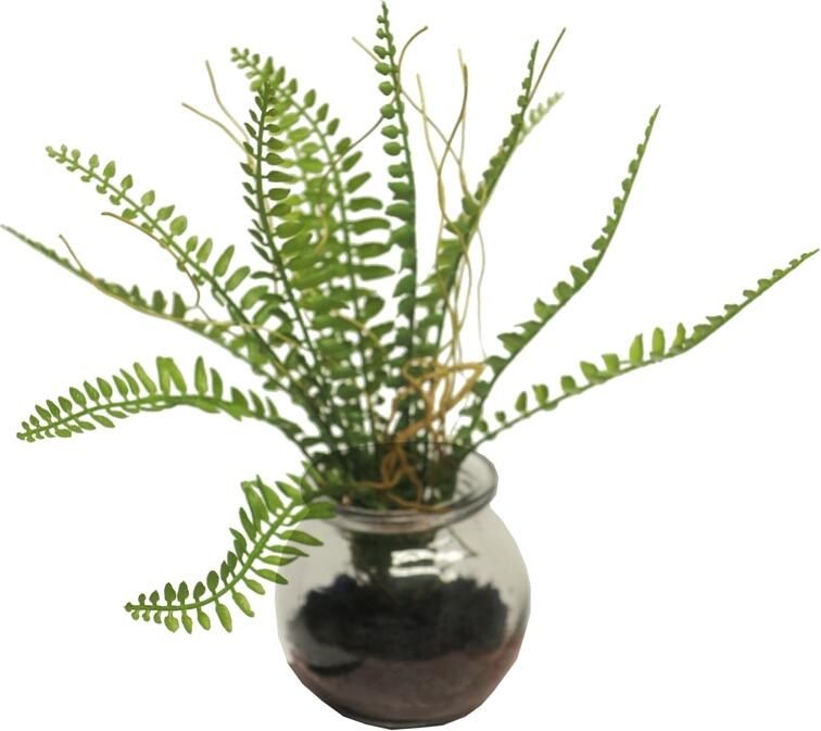 Botanic-Haus Kunst-potplanten Varen in het glas (set 2 stuks) - Foto 2