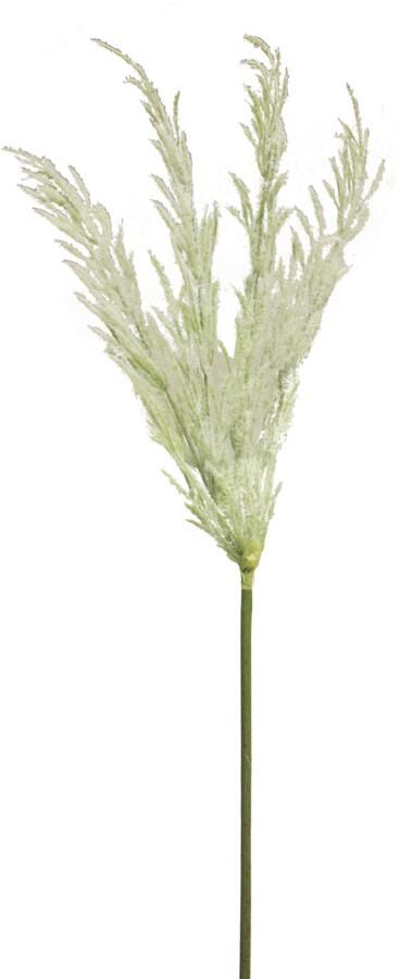 Coppens Grasspray wit 99cm - Foto 1