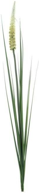 Coppens Kunst gras Foxtail crme groen zijde 110cm