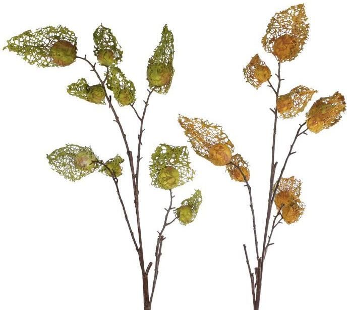 Coppens Kunst tak Physalis 9x XL groen geel a2 zijde 125cm