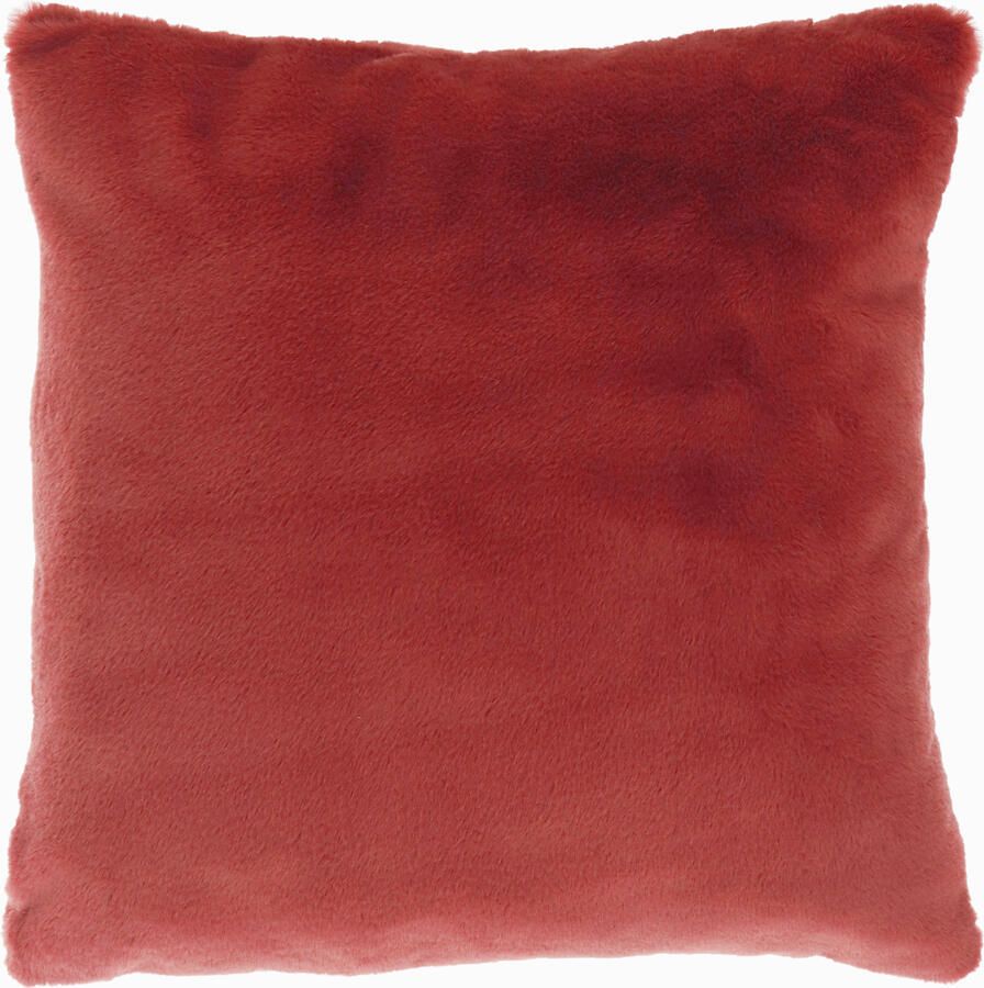 Coppens Kussen Klaas marsala