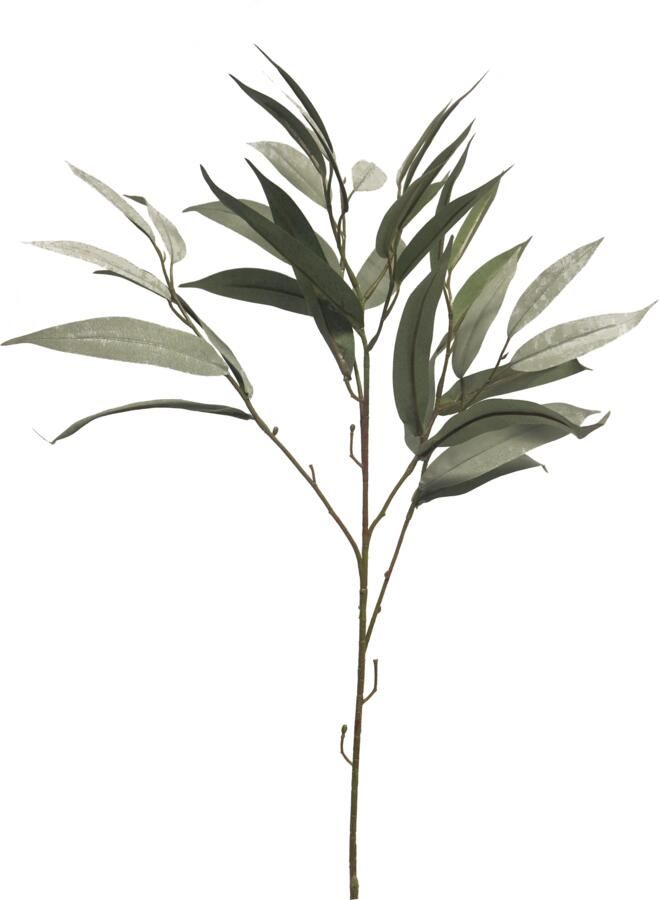 Coppens Mango lvs spray dusty green 76cm - Foto 1