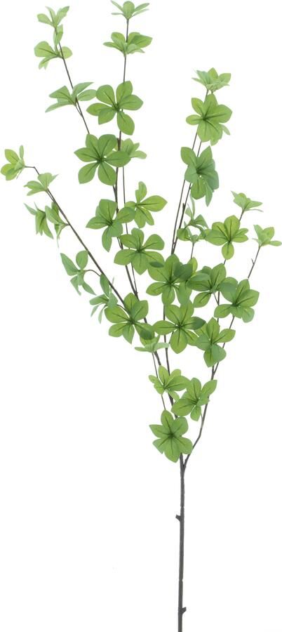 Coppens Mini maple leaf spray green 119cm - Foto 1