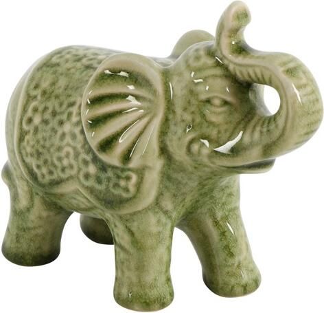 Coppens Olifant Fabio M