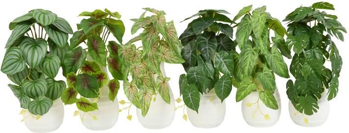 Coppens Plantje in vaasje wit - Foto 1