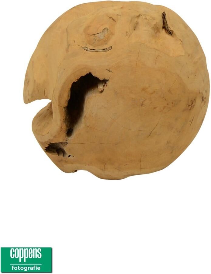 Coppens Platium Teak ball 30 - Foto 1