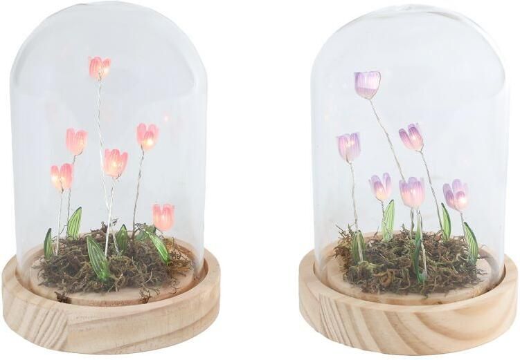 Coppens Sfeerverlichting LED Aisa paars roze 2 assorti glas