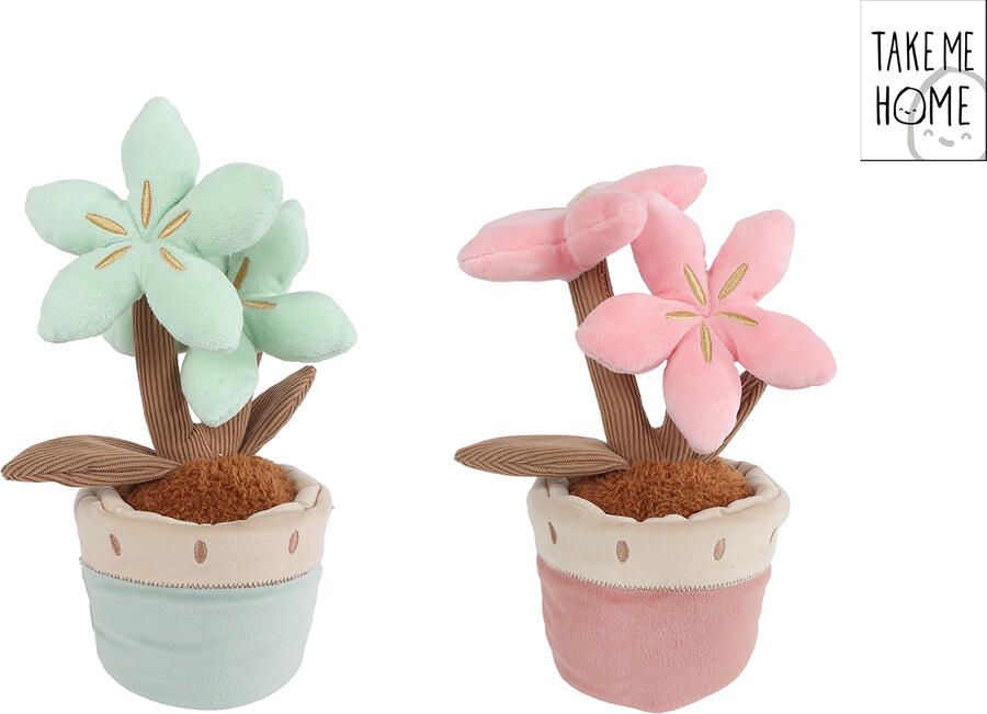 Coppens Take me home plant met 2 bloemen L pluche 2ass 24cm