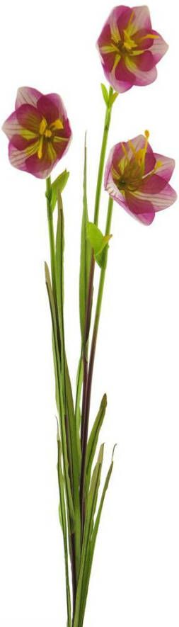 Coppens Cora bell spray pink green 79cm
