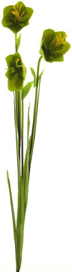 Coppens Cora bell spray tt green 79cm