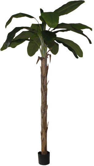 Coppens Kunstboom Banana tree Agnes