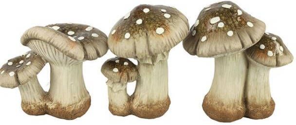 Coppens Paddestoel Harri M a3 bruin L12B15 5H15 5CM