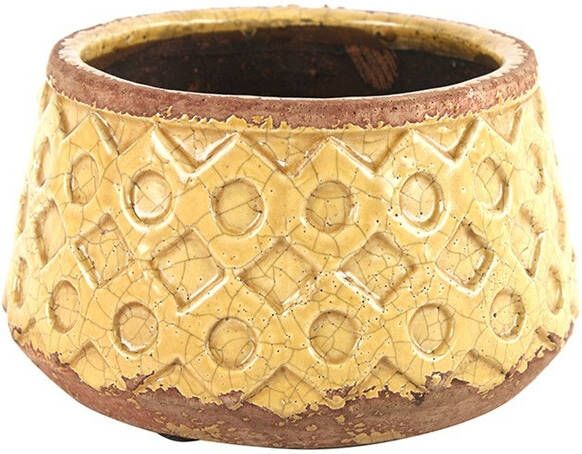 Coppens Schaal Rosana L geel