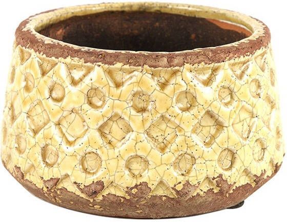 Coppens Schaal Rosana S geel