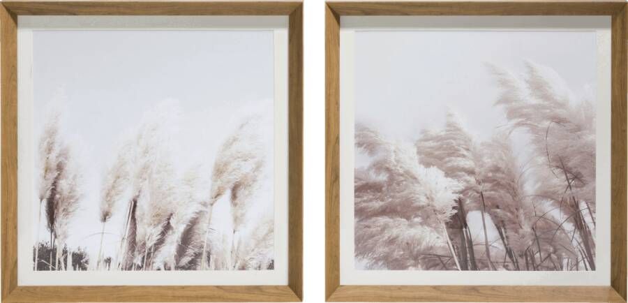 Coppens Schilderij Pampas set van 2