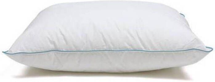 Coppens Timzo Hoofdkussen Noblesse Pearl