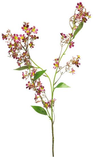 Coppens Zijde Clerodendron rood