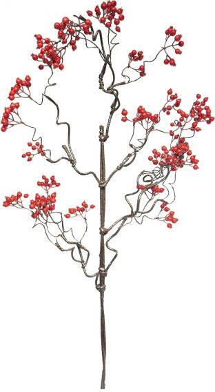 Coppens Zijde Crataegus berry rood