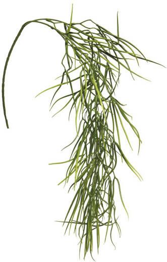 Coppens Zijde "Hoya" hanging groen 106xcm