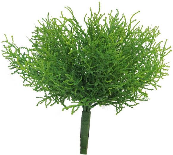 Coppens Zijde Santolina groen