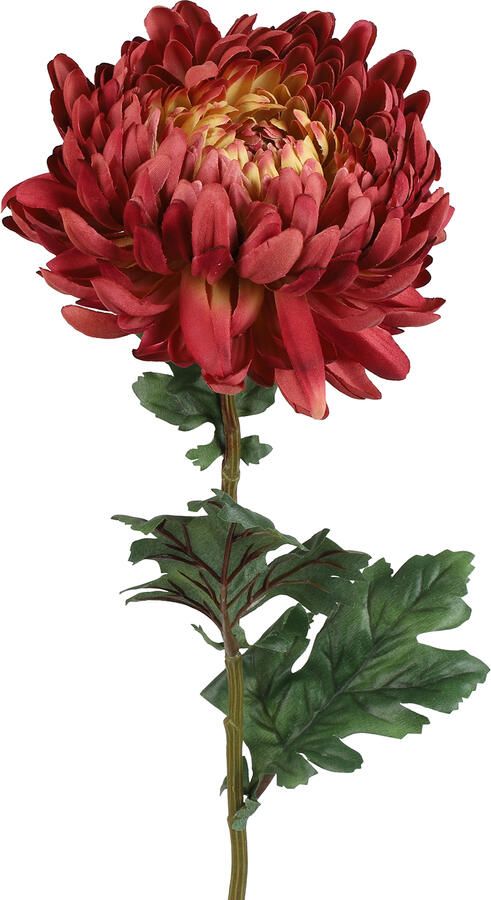 Decostar Countryfield Kunstbloem Chrysanthemum l.rood-L15B15H75CM