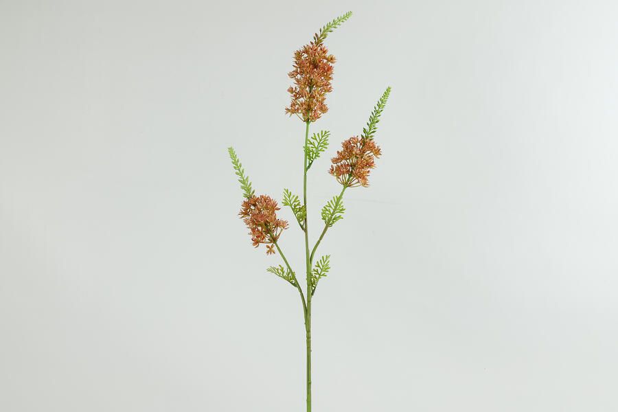 Decostar Countryfield Kunstbloem Eremurus bruin-L5B20H94CM