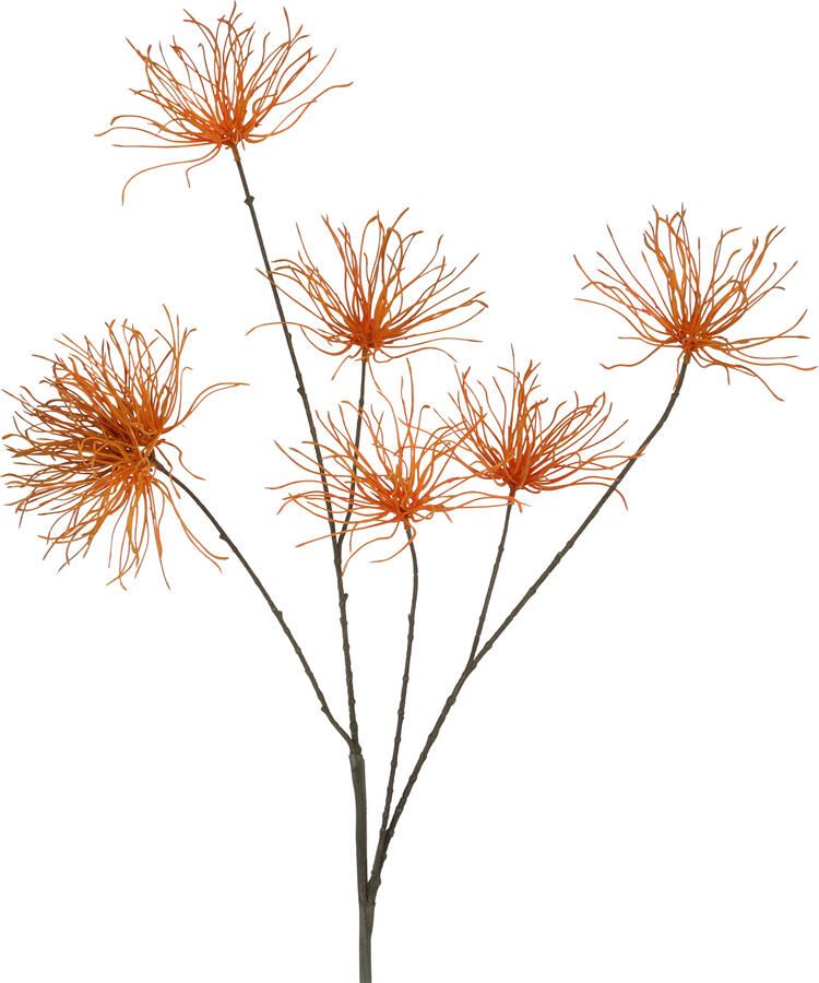 Decostar Countryfield Kunstbloem Grevillea M l.bruin-L111B25H13CM