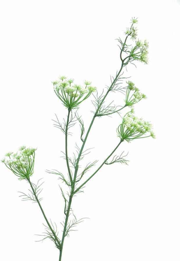 Nova Nature Dancus Carota Dille 120cm white