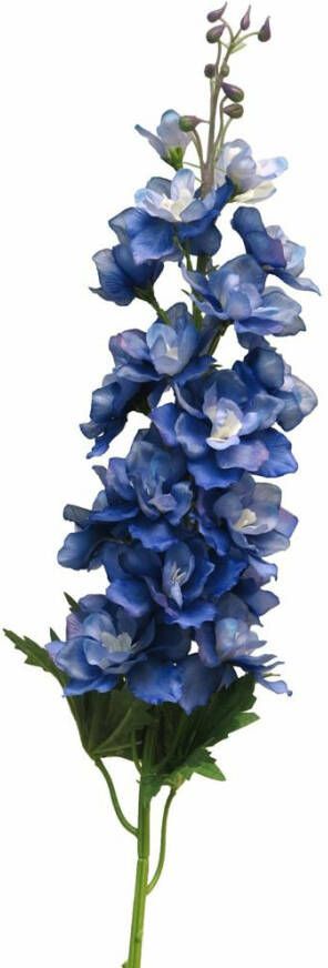 Nova Nature Delphinium Diva dark blue 90cm