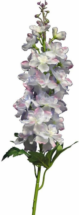 Nova Nature Delphinium Diva light blue 90cm