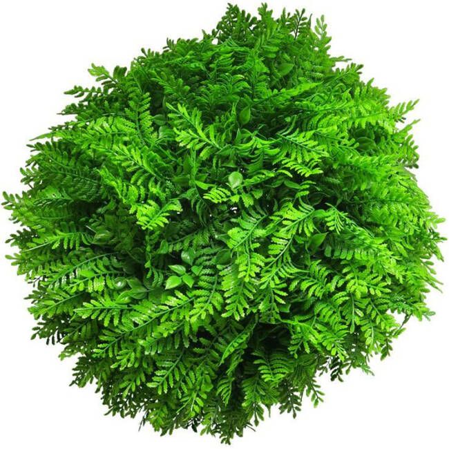 Nova Nature Fern ball green 40cm (6 month UV-protected)