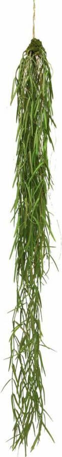 Nova Nature Hanging sprengeri bush green 94cm