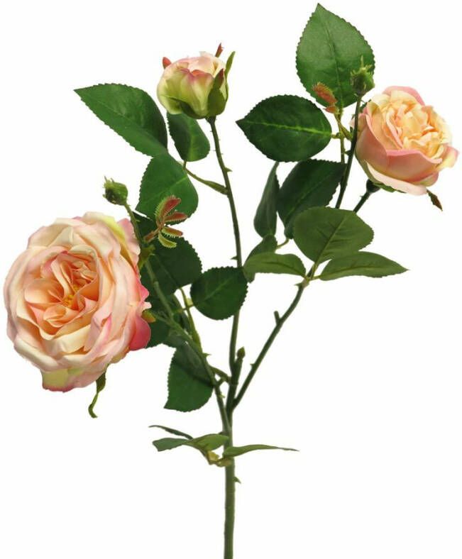 Nova Nature Italian rose spray x3 peach 61cm