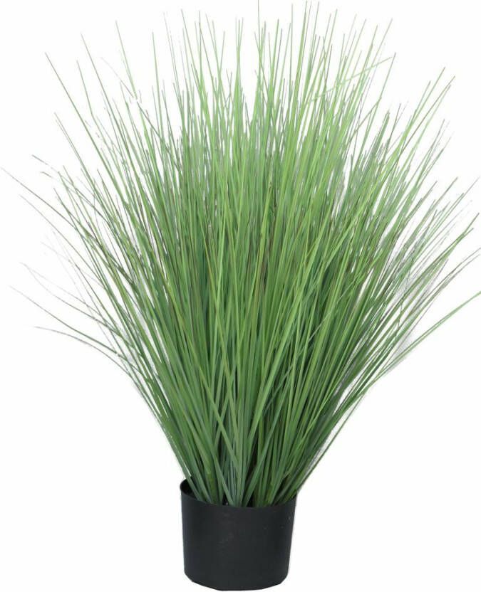 Botanic-Haus Kunstgras Grasarrangement King Festuca (1 stuk) - Foto 2