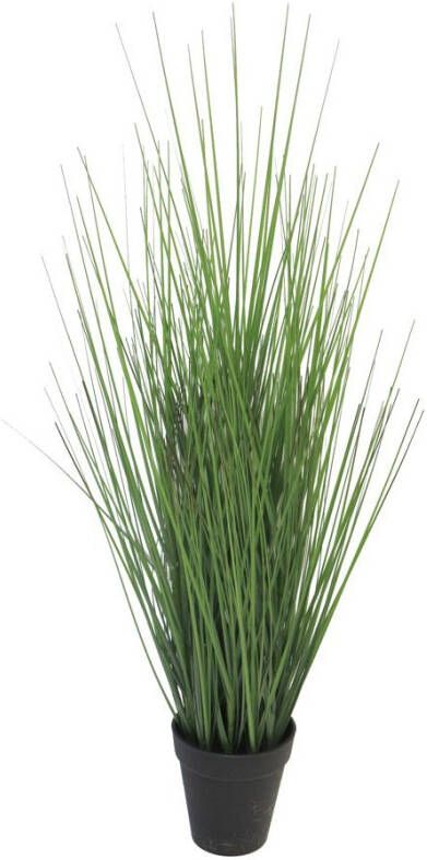 Botanic-Haus Kunstgras Gras Festuca (1 stuk) - Foto 3