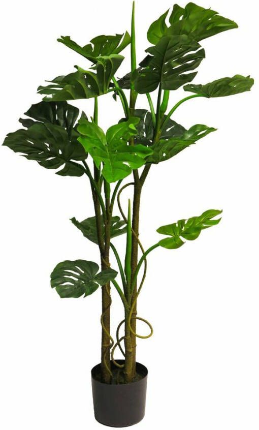 Nova Nature Monstera deliciosa green 120cm - Foto 1