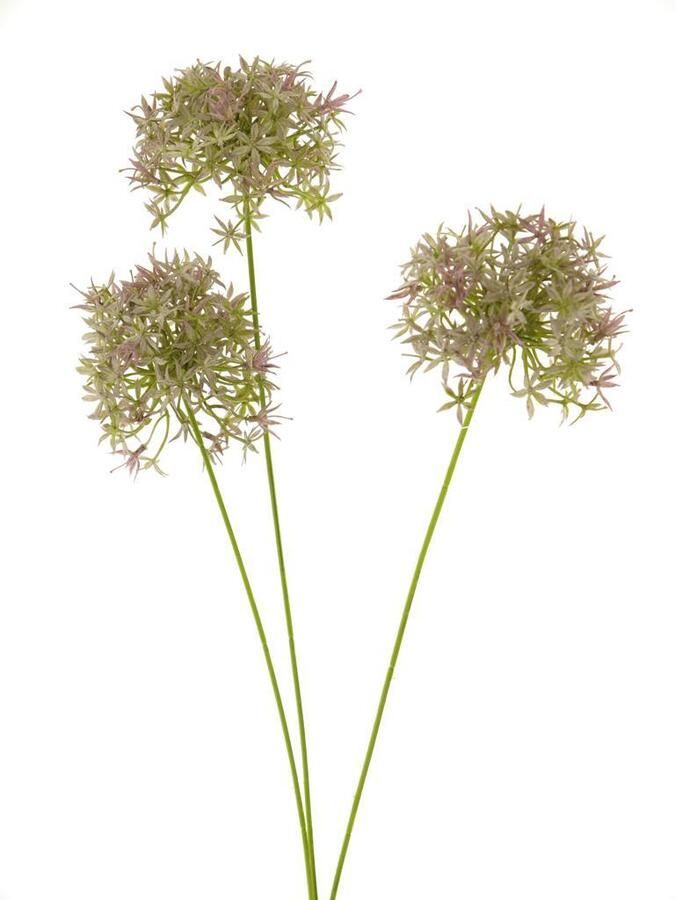 Nova Nature Allium bobo X3 lavendel 64cm