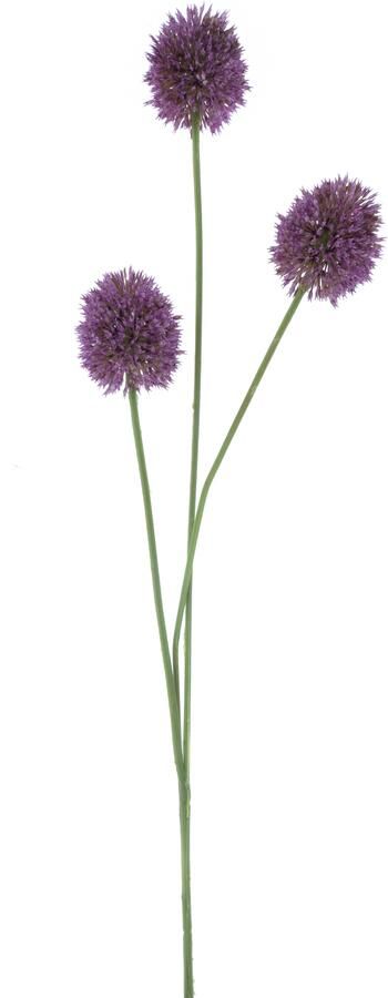 Nova Nature Allium spray aubergine 81cm - Foto 1