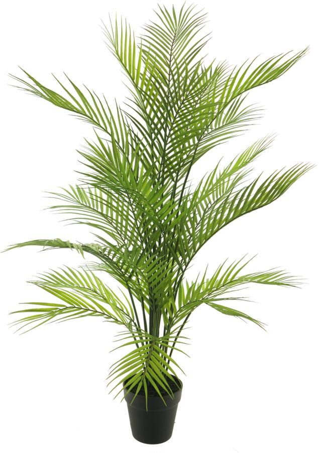 Nova Nature Areca dypsis in pot green 93cm