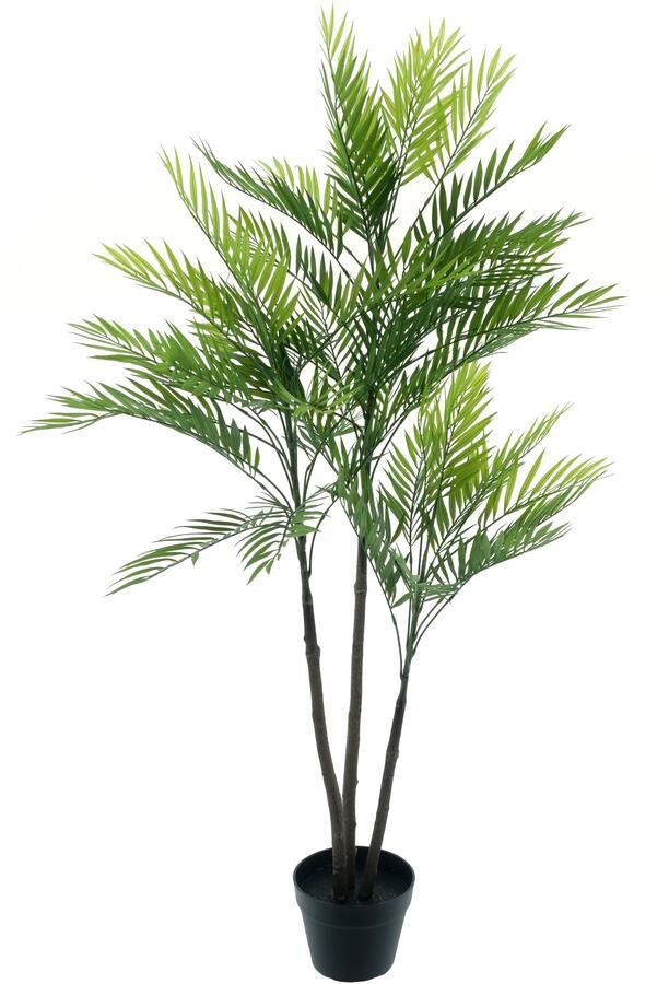 Nova Nature Areca palm Aruba in pot green 140cm - Foto 1