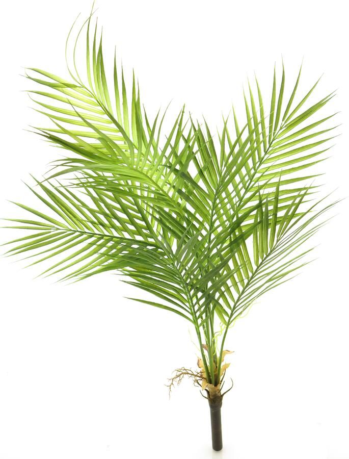 Nova Nature Areca palm green 91cm