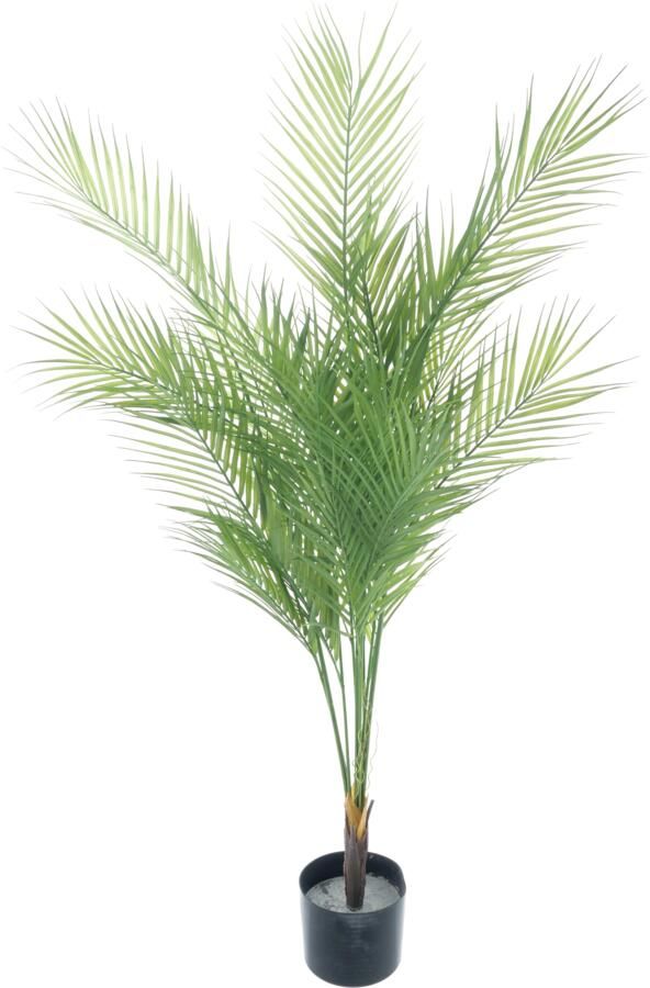 Nova Nature Areca palm in pot green 135cm