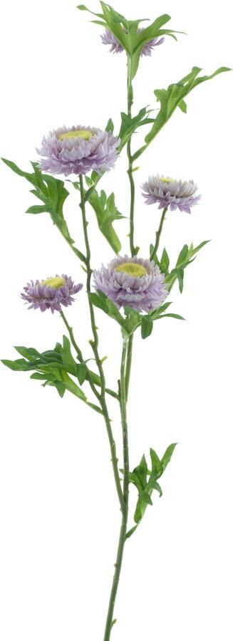 Nova Nature Bellis spray purple 82cm